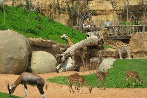 National Children’s Park and Zoo