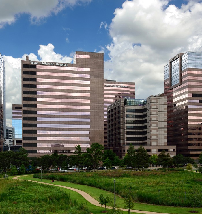 Texas Medical Center 1